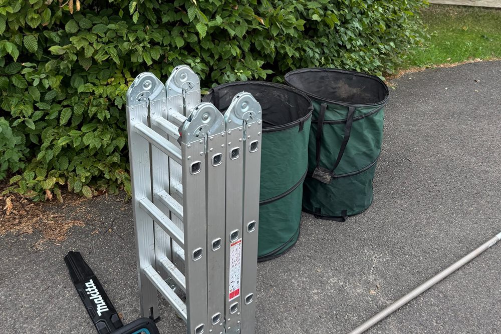 Ausrüstung vor einer Hainbuchenhecke: Mehrzweckleiter, zwei Gartensäcke, Akku-Heckenschere mit Klingenschutz und Teleskopstange